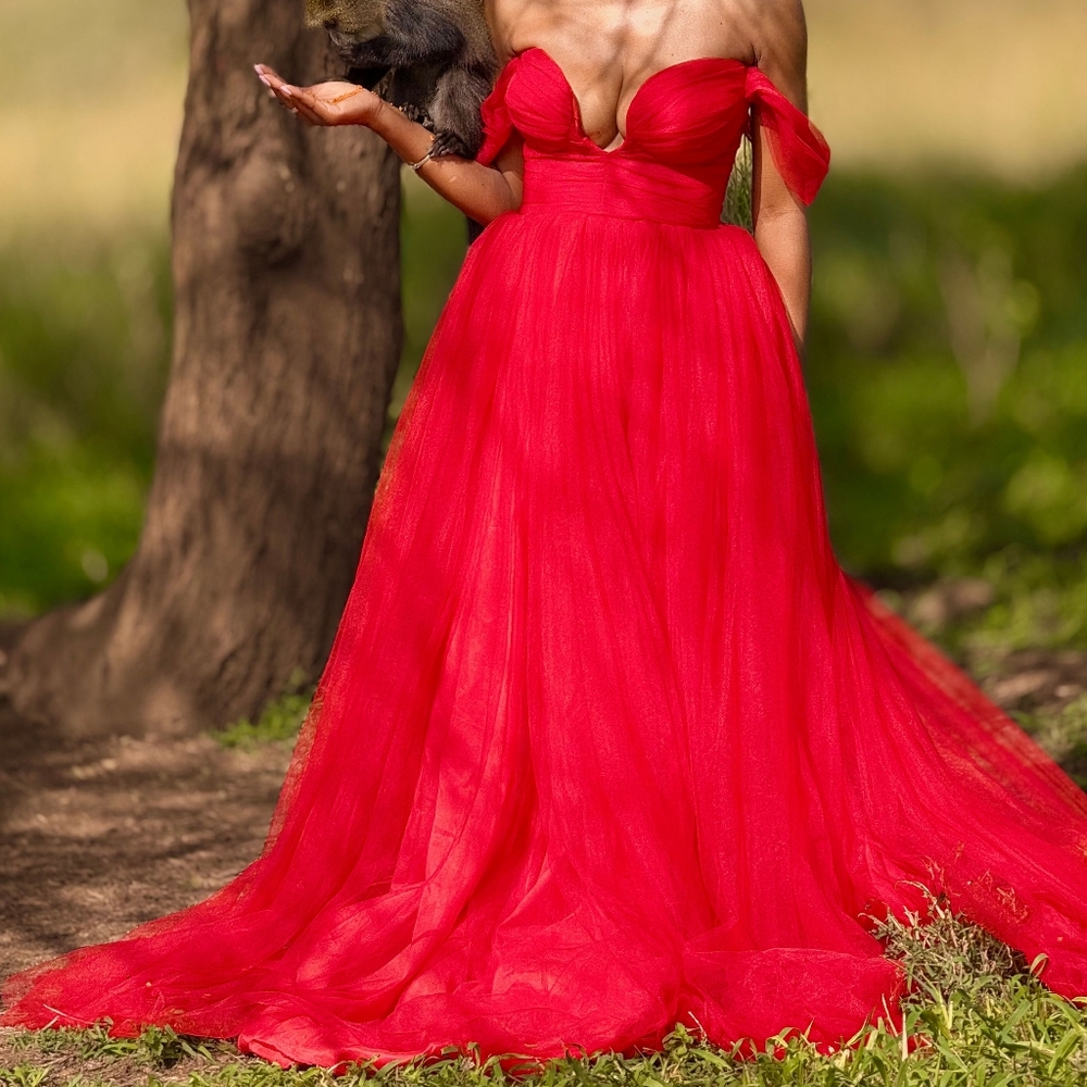 Red Tulle Evening Gown